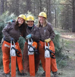 Screenshot-2023-04-14-093509-1