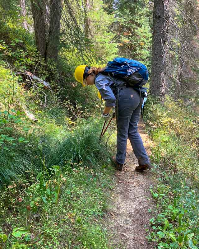 IMG_1151 - UCF Orange