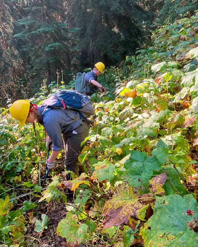 IMG_1177 - UCF Orange