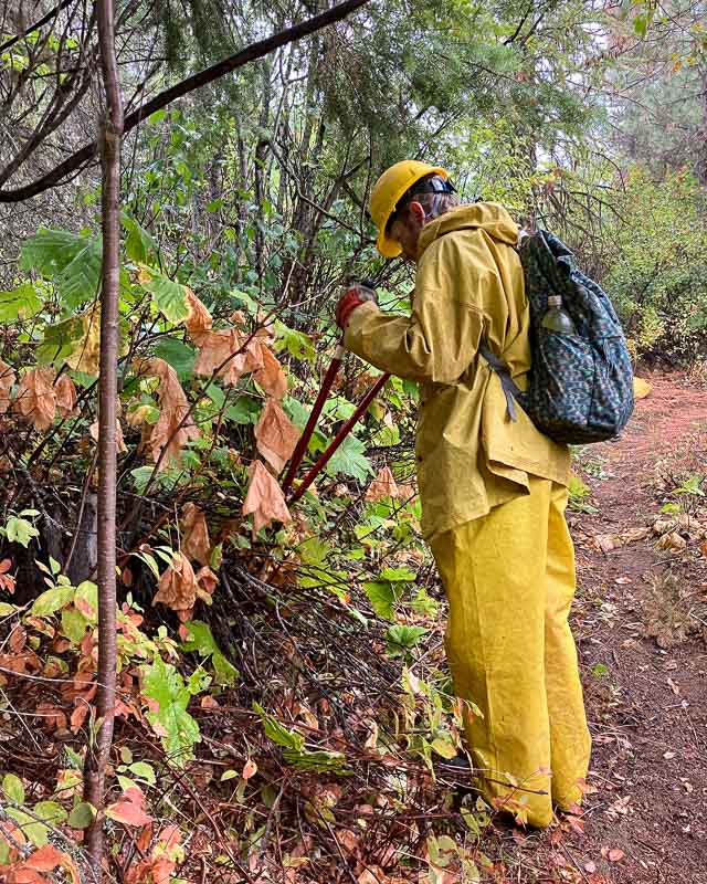 IMG_1215 - UCF Orange