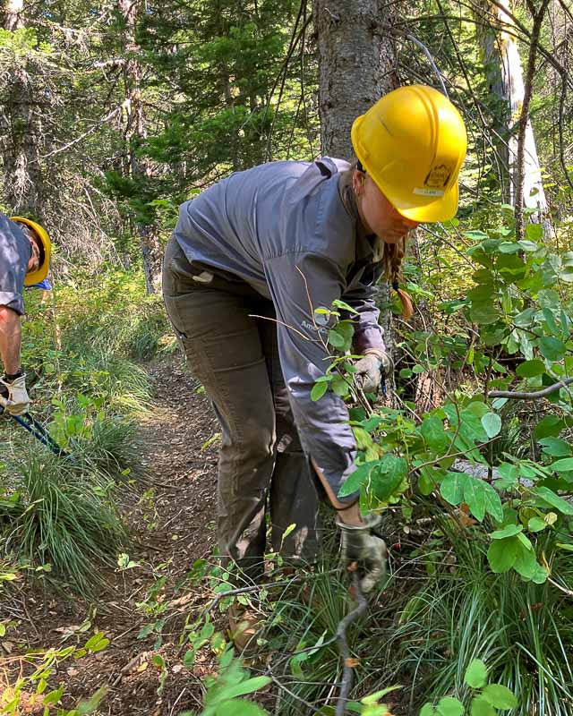 IMG_1252 - UCF Orange