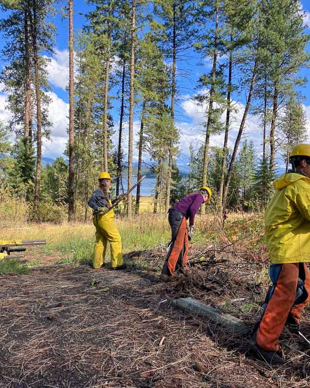 IMG_1408 - UCF Orange