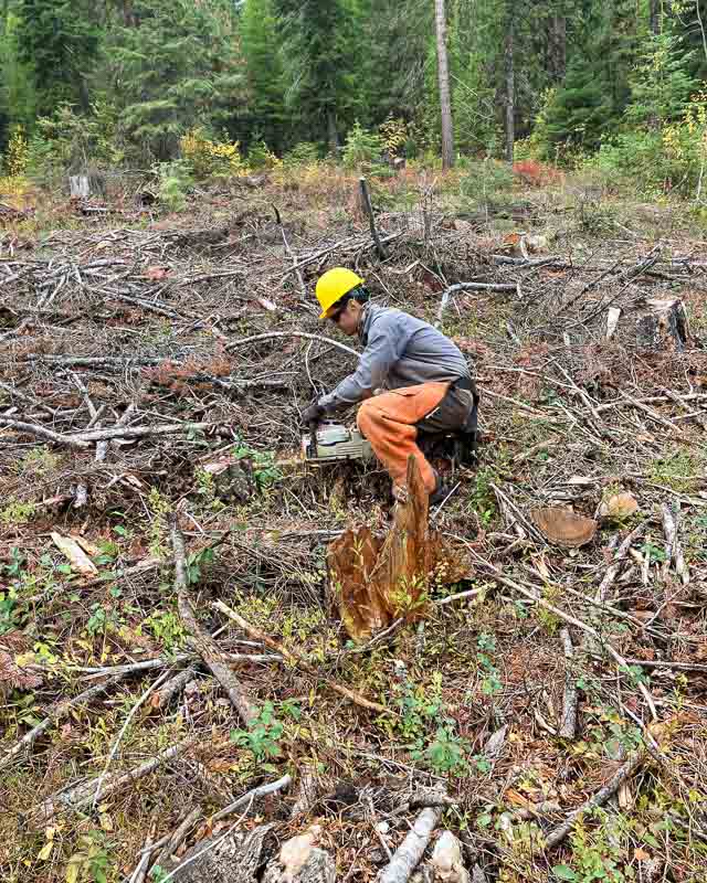 IMG_1429 - UCF Orange