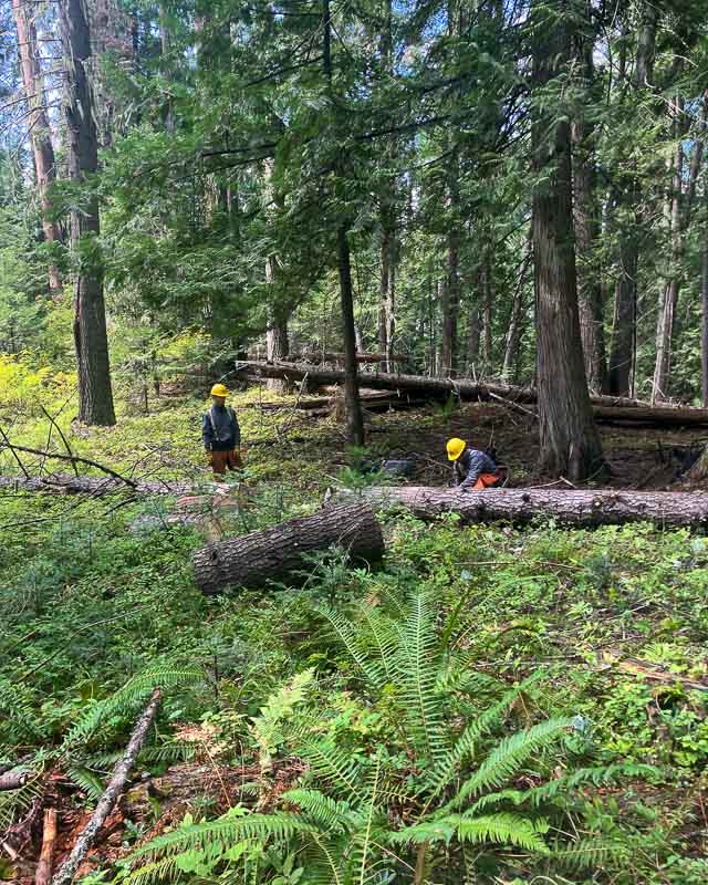 IMG_1589 - Crew Leader