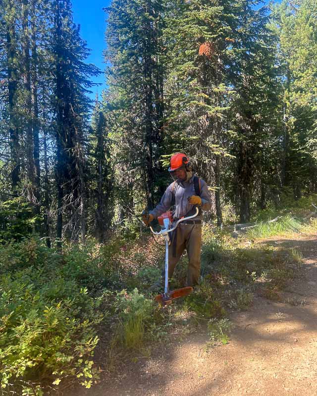 YA 37 Week 4 Panhandle NF 4