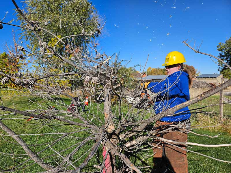 Bronwen Chainsawing @ Molenaar Park