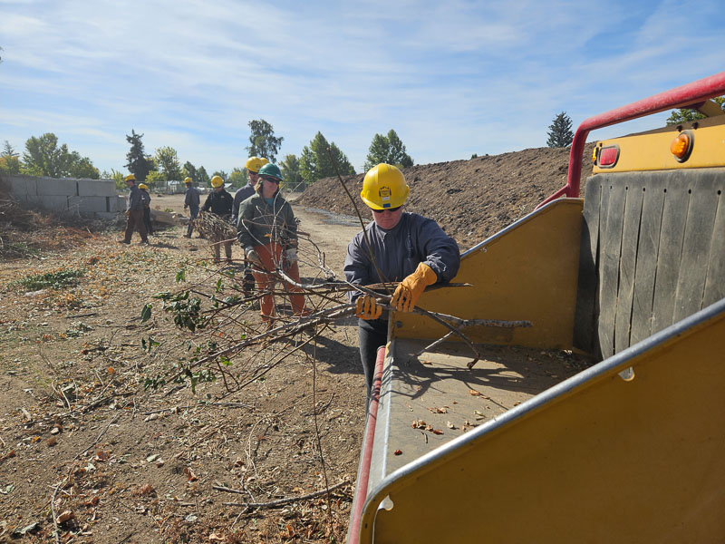 Bronwen Feeding Chipper @ Kohlerlawn