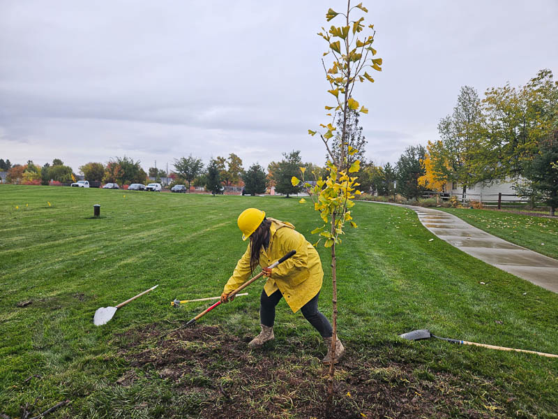 Bronwen planting @ Mariposa Park