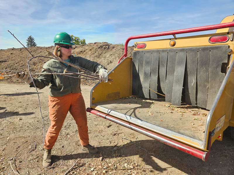 Caroline Feeding Chipper @ Kohlerlawn