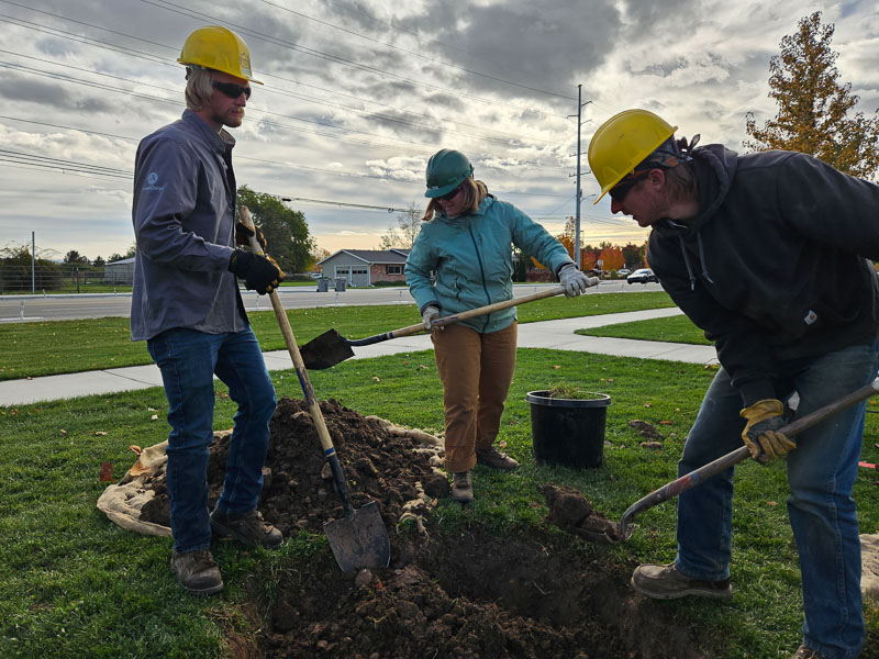 Crew planting a tree @ Molenaar Park