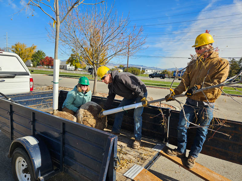 Crew taking tree from trailer @ Molenaar Park