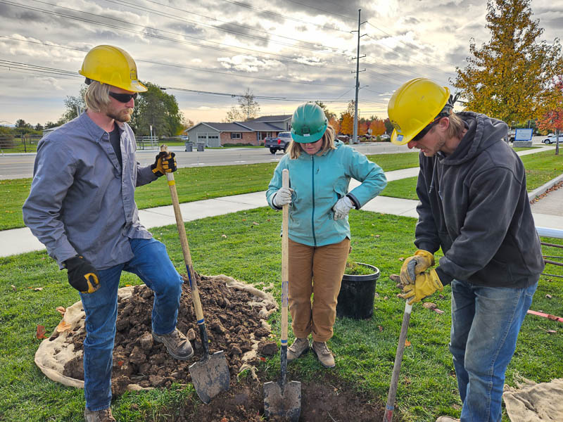 Digging holes (Molenaar)