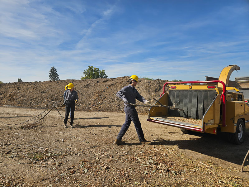 Jacob feeding chipper @ Kohlerlawn