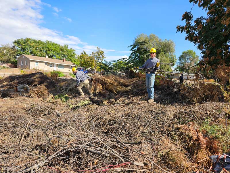 Mason _ Chris pulling sticks_